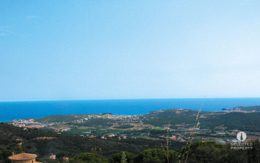 Platja-daro-vista