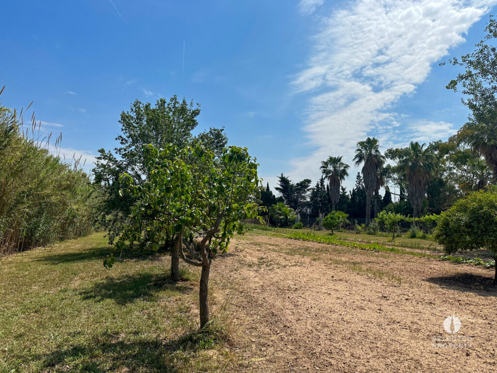 Finca amb possibilitat d’instal·lacions hípiques a Sant Boi de Llobregat – Sant Boi de Llobregat – Masia – Foto 11