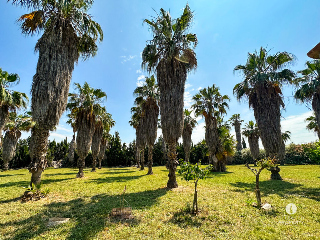 Finca amb possibilitat d’instal·lacions hípiques a Sant Boi de Llobregat – Sant Boi de Llobregat – Masia – Foto 17