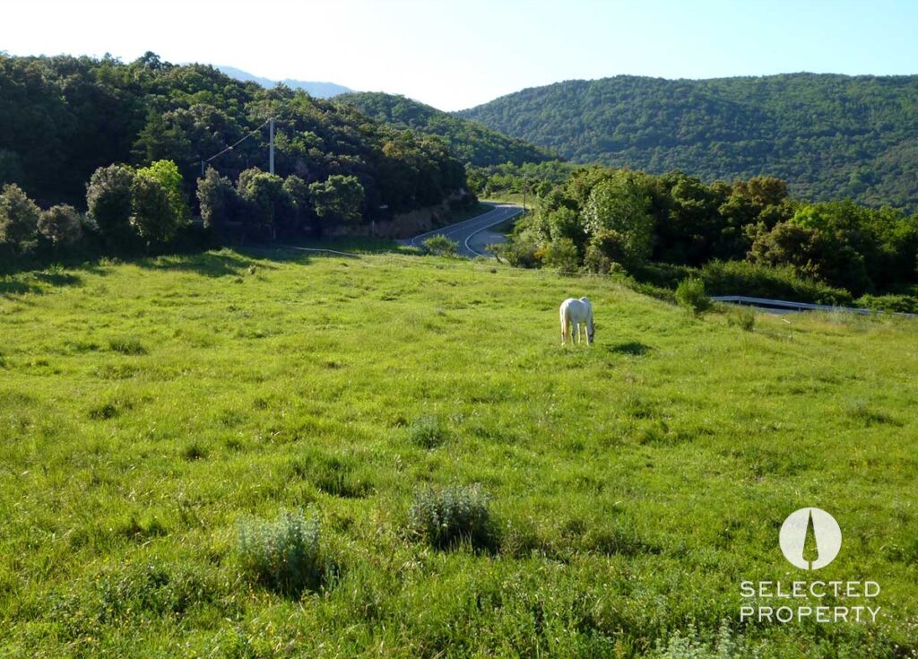 Parcelas entre las montañas y el mar – La Vajol – plot – Foto 4