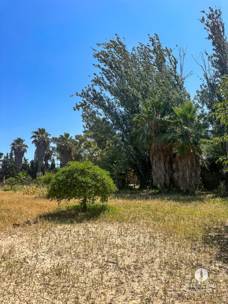 Mögliche Reitanlage in Sant Boi de Llobregat – Sant Boi de Llobregat – Foto 2