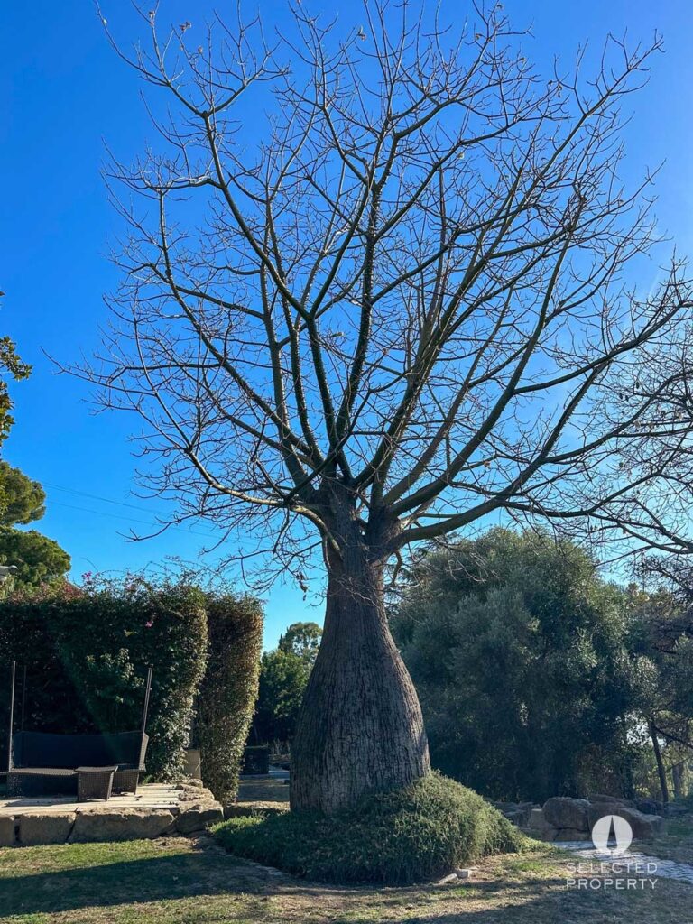 Exclusiva masía con residencias adicionales en Cabrera de Mar – Cabrera de Mar – country – Foto 17