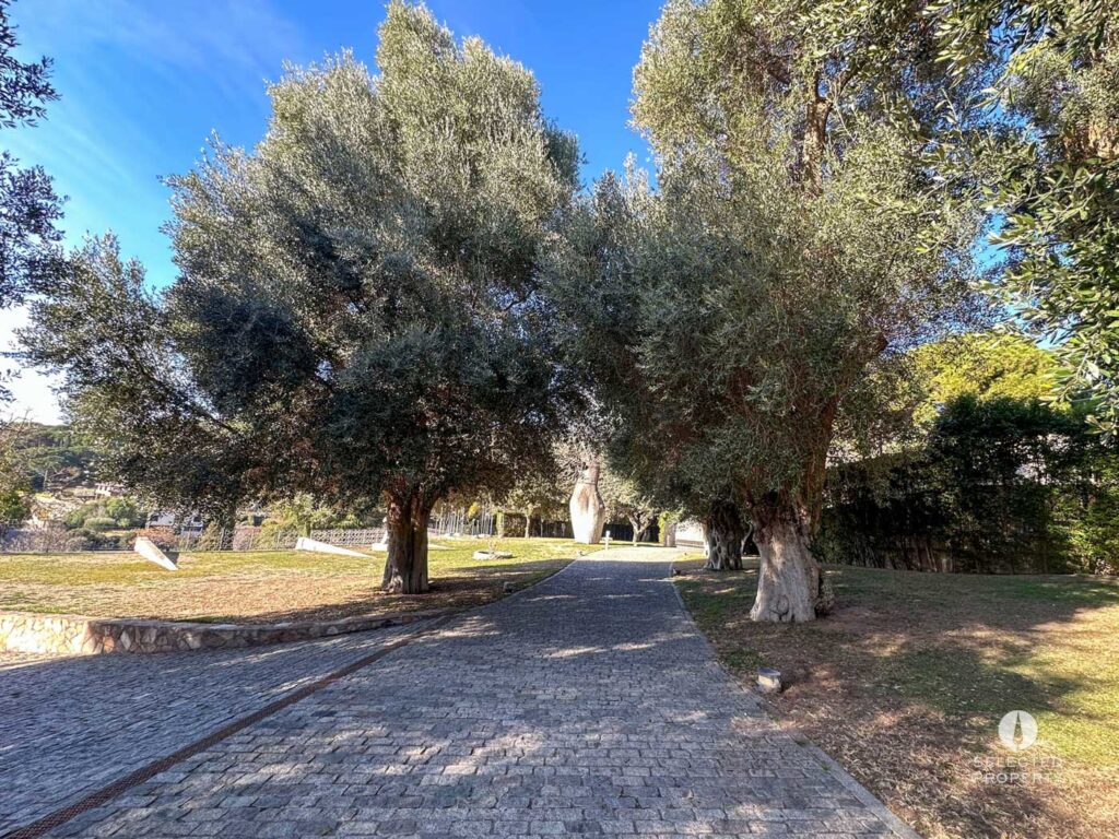 Maison de Campagne Exclusive avec Résidences Supplémentaires à Cabrera de Mar – Cabrera de Mar – country – Foto 30