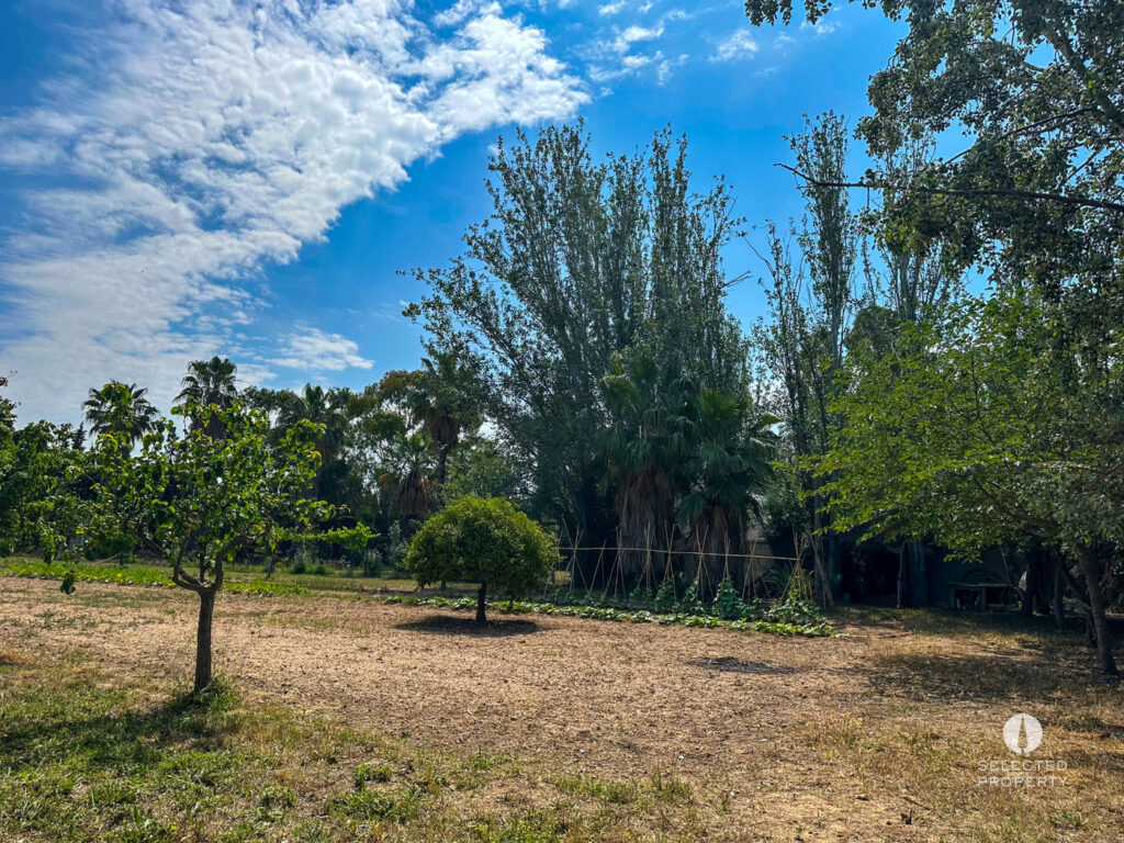 Equestrian Property in Sant Boi de Llobregat – Sant Boi de Llobregat – country – Foto 10