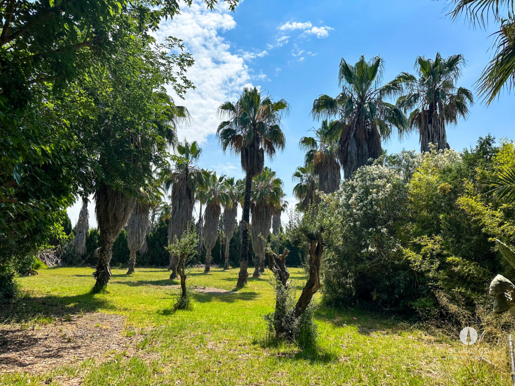Equestrian Property in Sant Boi de Llobregat – Sant Boi de Llobregat – country – Foto 12