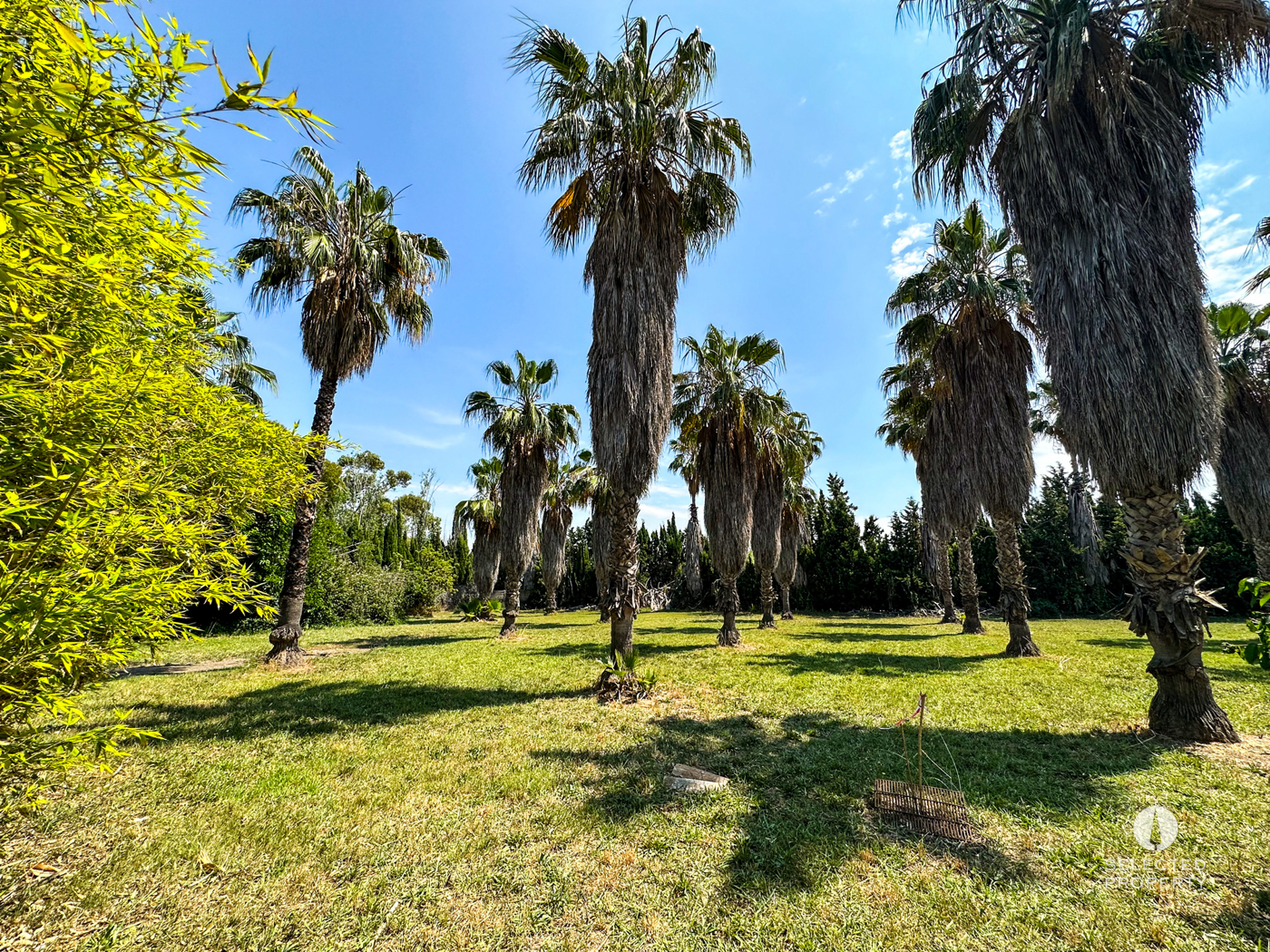 Hípica en Sant Boi de Llobregat – Sant Boi de Llobregat – country – Foto 18