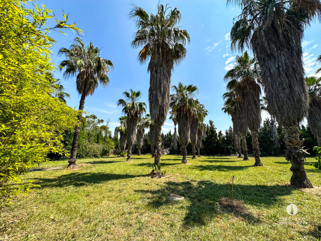 Propriété Équestre à Sant Boi de Llobregat – Sant Boi de Llobregat – Photo 18