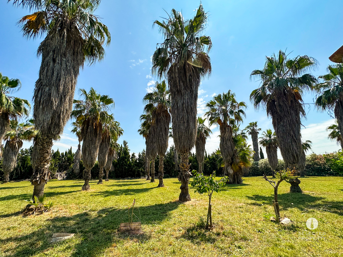Propriété Équestre à Sant Boi de Llobregat – Sant Boi de Llobregat – country – Foto 17