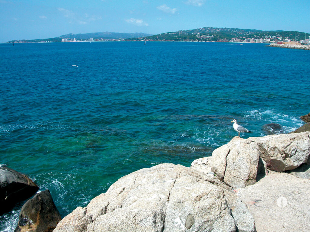Opportunité d’investissement exclusive sur la Costa Brava – Platja d'Aro – hotel – Foto 5